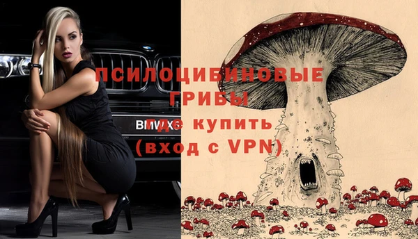 Альфа ПВП Верхний Тагил