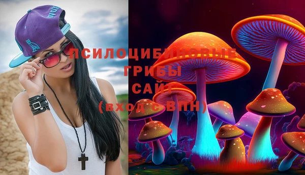 сатива Тында