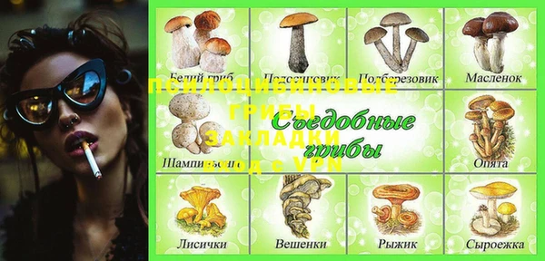 mdpv Верея