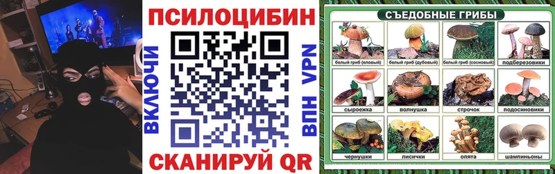 Галлюциногенные грибы Magic Shrooms  Мценск 