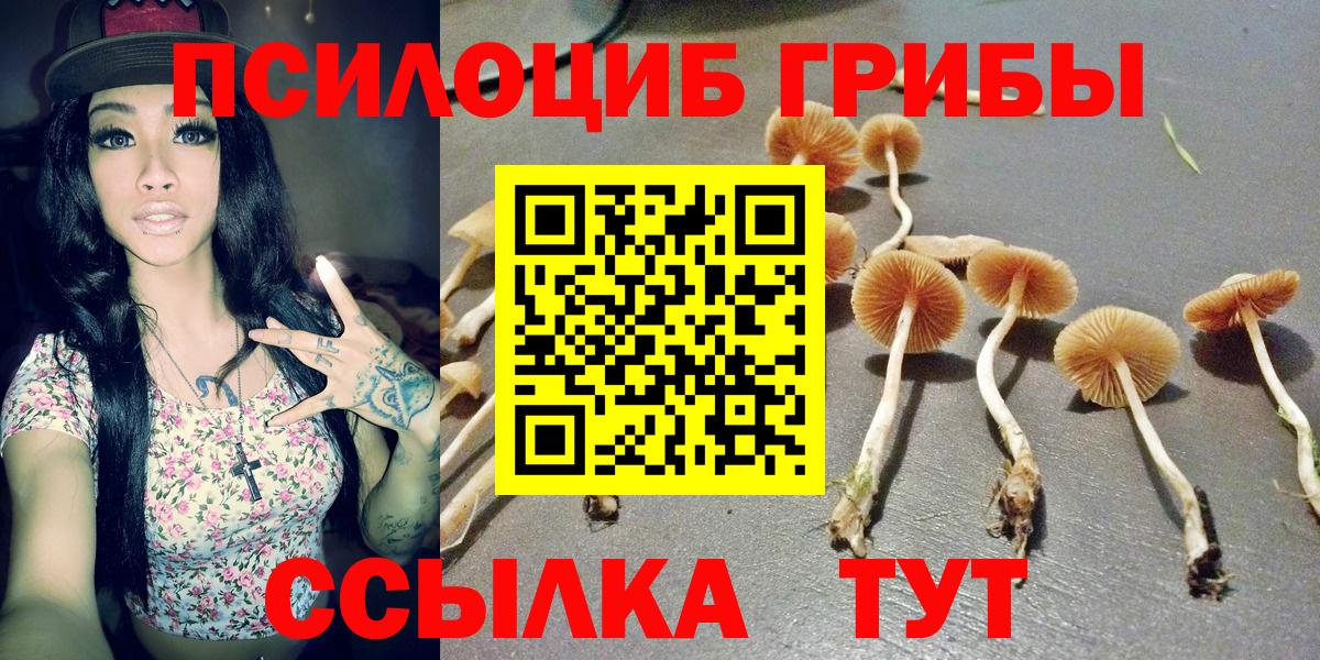 Галлюциногенные грибы Cubensis  Галлюциногенные грибы Cubensis  Вход с VPN  Мценск 