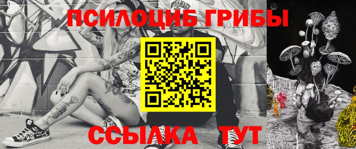 Галлюциногенные грибы GOLDEN TEACHER  Мценск 