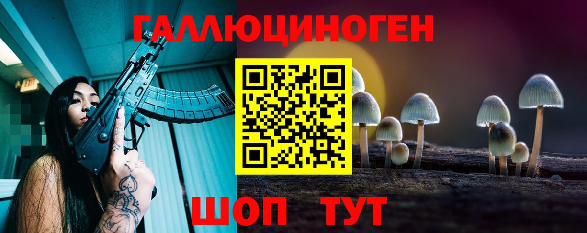 Псилоцибиновые грибы Psilocybe Мценск