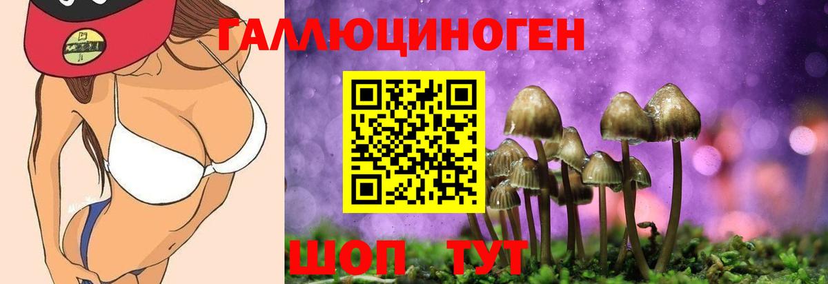 Псилоцибиновые грибы ЛСД Мценск