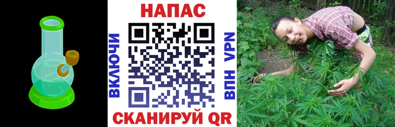 Каннабис семена Мценск